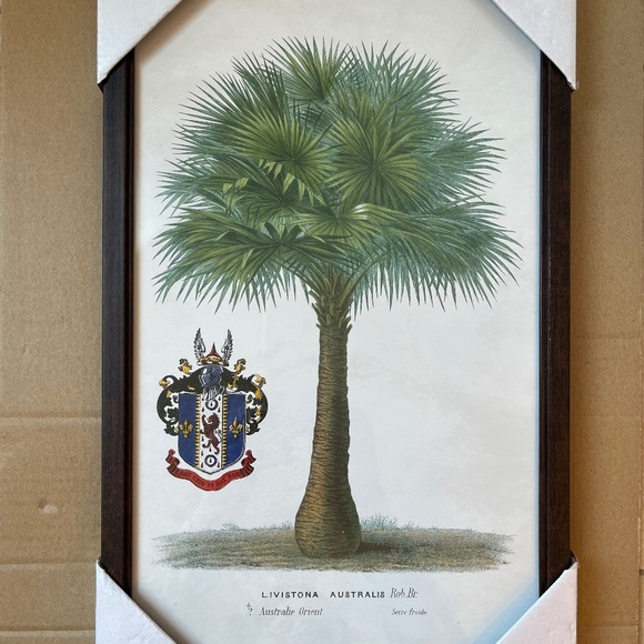 Island Time Tropical Palm Framed Tree Print - Picture 1 of 3